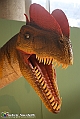 VBS_0942 - Dinosauri. Terra dei giganti